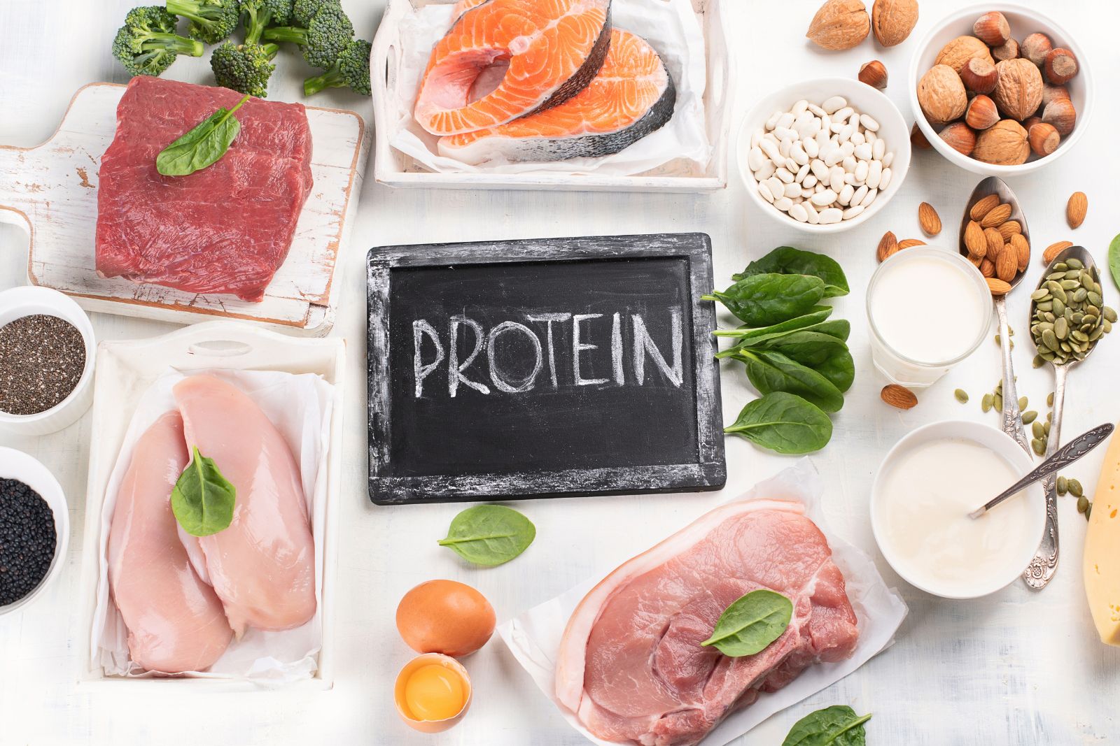 come le proteine favoriscono un metabolismo sano